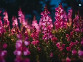 mágico Rosa verão selvagem flor tremoço fechar-se em pôr do sol. salgueiro chá dentro a pôr do sol luz gerado por IA foto