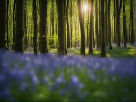 luz solar brilha através faia árvores dentro a bluebell madeiras do hallerbos dentro Bélgica ai gerar. foto