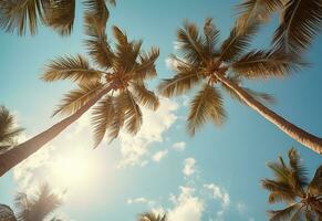 ai gerado azul céu e Palma árvores Visão a partir de abaixo, vintage estilo, tropical de praia e verão fundo, viagem conceito realista imagem foto