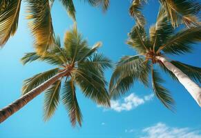 ai gerado azul céu e Palma árvores Visão a partir de abaixo, vintage estilo, tropical de praia e verão fundo, viagem conceito realista imagem foto