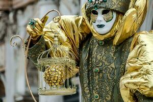 uma homem dentro uma ouro e verde mascarar com uma pássaro cela foto