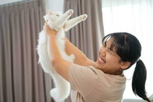 feliz mulher jogando com gato dentro acolhedor vivo quarto às lar. foto