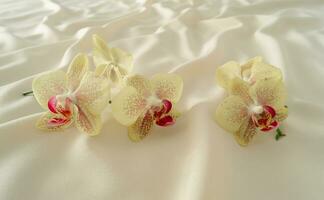 floral criativo conceito fez do tropical orquídeas em luxo seda fundo. verão estético composição. mínimo natureza ideia. foto