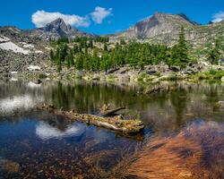 lago do artistas dentro ergaki em uma verão tarde entre taiga pedras com uma azul céu debaixo a caloroso Sol e árvores montanha ensolarado panorama. ergaki natureza parque dentro a montanhas do Sibéria. ocidental sayan. foto