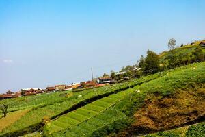 arroz Campos dentro a montanhas com uma terasir sistema foto