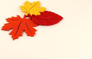 folhas de outono amarelo laranja vermelho, moldura de borda, planta artificial foto