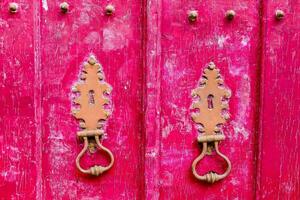 dois ornamentado metal alças em uma Rosa porta foto