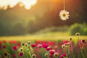 uma solteiro flor é suspensão a partir de uma corda dentro uma campo do vermelho papoulas. gerado por IA foto