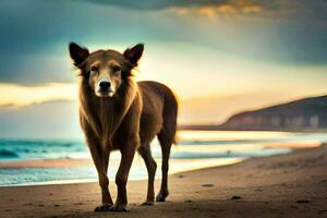 uma cachorro em pé em a de praia às pôr do sol. gerado por IA foto