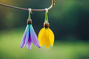 dois colorida flores suspensão a partir de uma ramo. gerado por IA foto