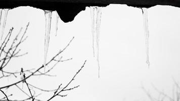 pingentes de gelo que estão pendurados em um telhado foto
