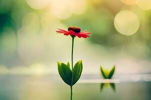 uma solteiro vermelho flor é em pé dentro a água. gerado por IA foto