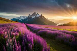 a Sol sobe sobre uma campo do lavanda flores dentro a montanhas. gerado por IA foto