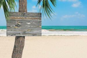 de madeira prancha tabuleta com cópia de espaço suspensão em uma Palma árvore em a areia de praia. 3d Renderização foto