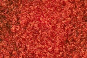 tobiko vermelho caviar foto