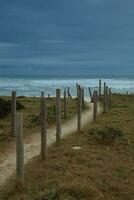 caminho para a de praia com de madeira postes dentro a primeiro plano e oceano dentro a fundo foto