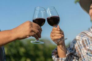 feliz velho idosos casal com uma vidro do vermelho vinho comemoro a Boa colheita do uvas. velho casal do ásia sabores e verificação vermelho lado de fora dentro uma Vinhedo em uma Vinhedo fundo. foto