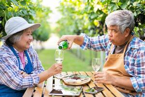 retrato do Senior enólogo segurando dentro dele mão uma vidro do Novo branco vinho. sorridente feliz idosos casal desfrutando uma piquenique juntos dentro próprio Vinhedo. agrícola conceito, pequeno negócios, aposentadoria foto