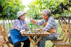 retrato do Senior enólogo segurando dentro dele mão uma vidro do Novo branco vinho. sorridente feliz idosos casal desfrutando uma piquenique juntos dentro próprio Vinhedo. agrícola conceito, pequeno negócios, aposentadoria foto