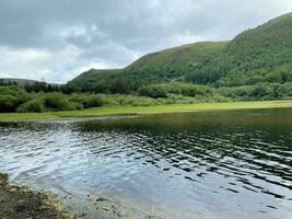 uma Visão do a norte país de gales campo às lago vyrnwy foto