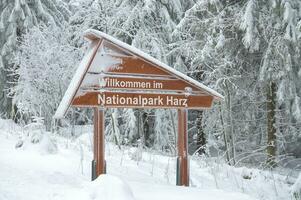 inverno no parque nacional de harz, alemanha foto