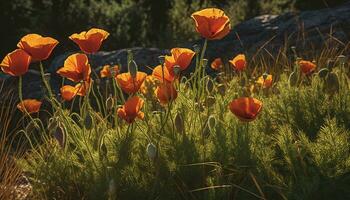 vibrante Prado, colorida flores, verde grama, tranquilo natureza, fresco luz solar gerado de ai foto