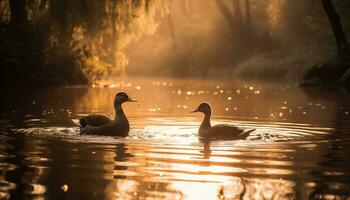 tranquilo cena patinho dentro lago, cercado de natureza beleza gerado de ai foto