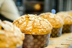 pastelaria padeiro artesão cozimento pequeno grupo do italiano Panettone doce pão típica para Natal Tempo foto