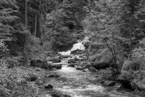 caminhada fechar gosau dentro Áustria foto