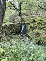 uma Visão do a norte país de gales campo perto lyn mawr dentro Snowdonia foto