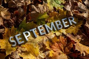 palavra setembro liderar com prata metal cartas em caído bordo folhas em outono floresta chão foto