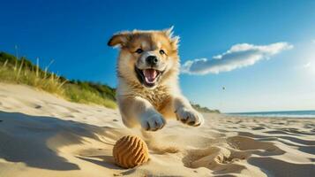 uma fofa cachorro jogando em a arenoso de praia desfrutando verão foto