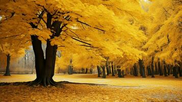 outono árvore dentro floresta folhas brilhante amarelo foto