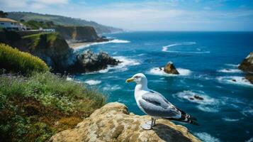 gaivota empoleirado em penhasco assistindo litoral desfrutando livre foto