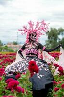 glorioso elegância dentro a coração do cholula cempasuchil Campos uma hipnotizante dia do a morto sessão de fotos, apresentando uma deslumbrante mulher transformado para dentro uma catrina, pagando para a tradição do morrer de muertos foto