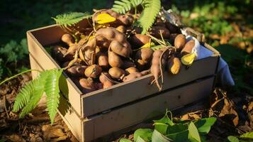 recentemente escolhido Tamarindo fruta a partir de jardim colocada dentro a caixas. generativo ai foto