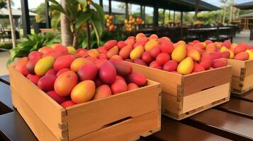 recentemente escolhido pitomba fruta a partir de jardim colocada dentro a caixas. generativo ai foto