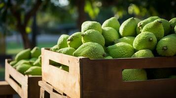 recentemente escolhido fruta-pão a partir de jardim colocada dentro a caixas. generativo ai foto