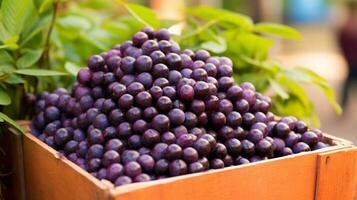 recentemente escolhido Açaí baga fruta a partir de jardim colocada dentro a caixas. generativo ai foto