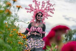 glorioso elegância dentro a coração do cholula cempasuchil Campos uma hipnotizante dia do a morto sessão de fotos, apresentando uma deslumbrante mulher transformado para dentro uma catrina, pagando para a tradição do morrer de muertos foto