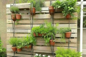 paletes com suspensão plantas vertical jardim. fundo. ai generativo pró foto