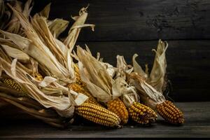 cesta derramar milho colheita dentro outono foto