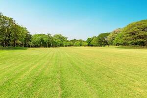 bela luz da manhã no parque público com campo de grama verde foto