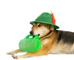 retrato do uma vira-lata cachorro com uma bávaro chapéu e uma caneca do Cerveja foto