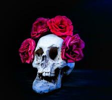 humano crânio com rosas para dia do a morto foto