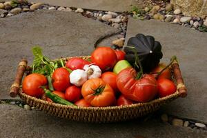 outono colheita cesta com tomate foto