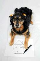 uma cachorro vestindo óculos e segurando uma casa desenhando foto