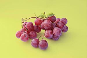 uma ampla grupo do vermelho uvas com verde uva folhas em uma amarelo fundo foto