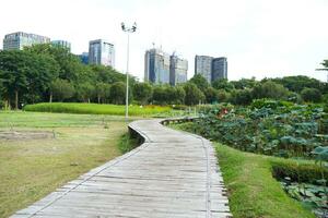 esvaziar passarela escada ponte sobre rio dentro a cidade jardim panorama com não pessoas foto