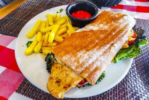 baguete sanduíche torrada pão com frango tomate salada batatas fritas. foto